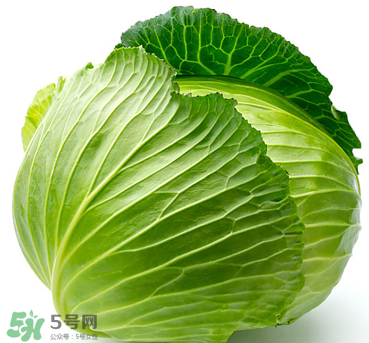 8月份吃什么蔬菜？八月份適合吃什么蔬菜？