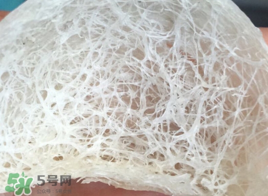馬來西亞燕窩好還是印尼好？馬來西亞燕窩和印尼燕窩區別