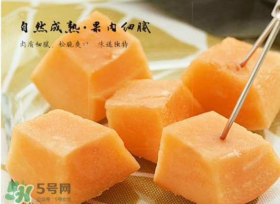 西州蜜瓜什么季節(jié)熟？西州蜜瓜幾月份成熟？