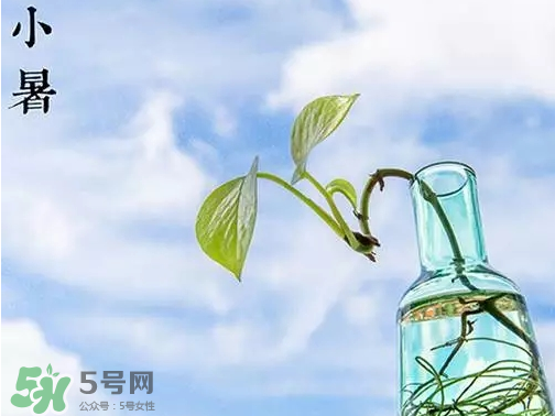 小暑是頭伏嗎？小暑是初伏嗎？