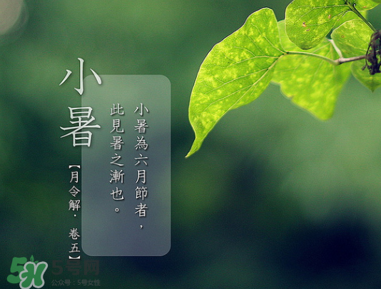 2017年小暑會下雨嗎？小暑這一天下雨好嗎？