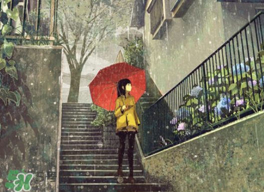 2017年小暑會下雨嗎？小暑這一天下雨好嗎？