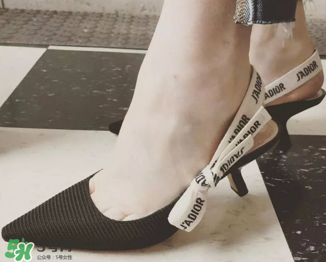 dior貓跟鞋多少錢？dior貓跟鞋價格