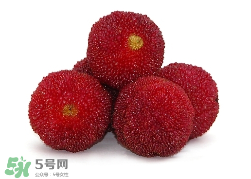 新鮮楊梅怎么保存得更長時間？新鮮楊梅能保存幾天？