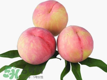脆桃有什么營養？脆桃的營養價值