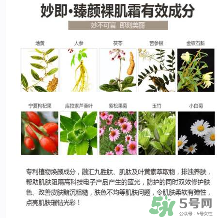 妙即素顏霜怎么樣？妙即素顏霜多少錢一盒？