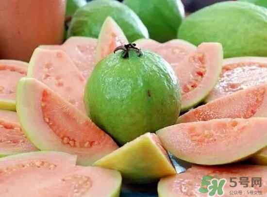 產婦可以吃番石榴嗎？坐月子可以吃番石榴嗎？