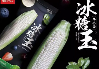 冰糖玉米?是轉(zhuǎn)基因嗎？冰糖玉米多少錢一斤？