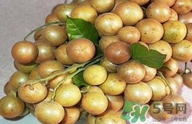 山黃皮怎么做好吃？山黃皮有什么藥用價(jià)值