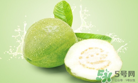 產婦可以吃番石榴嗎？坐月子可以吃番石榴嗎？