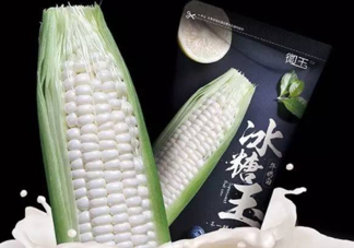 微玉冰糖玉米可以生吃嗎？微玉冰糖玉米安全嗎？