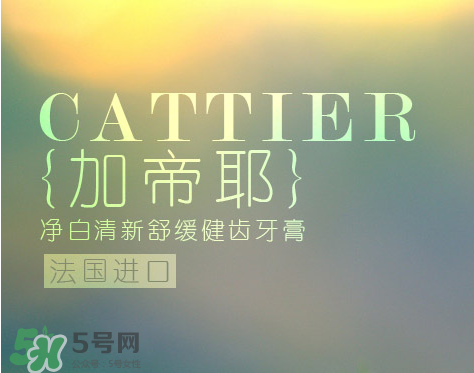 cattier加帝耶是什么牌子？法國cattier什么檔次？
