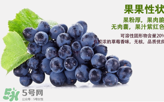 夏黑葡萄怎么洗？夏黑葡萄怎么洗才干凈？