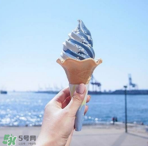 鯨鯊冰淇淋好吃嗎？鯨鯊冰淇淋多少錢？