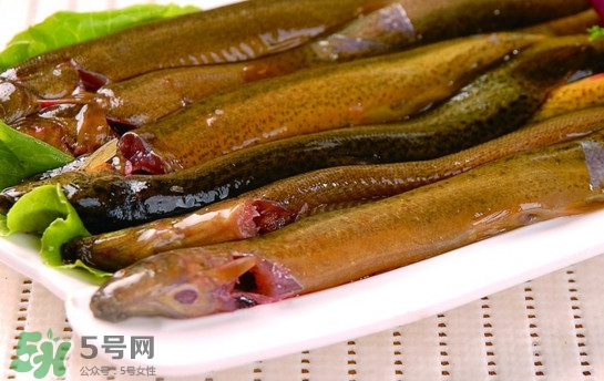 鰻魚是泥鰍嗎？鰻魚與泥鰍什么區(qū)別