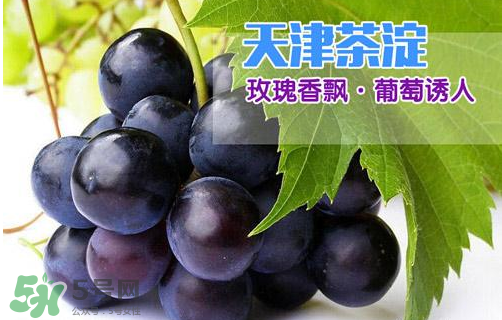 玫瑰香葡萄多少錢一斤？玫瑰香葡萄多少錢一斤2017？