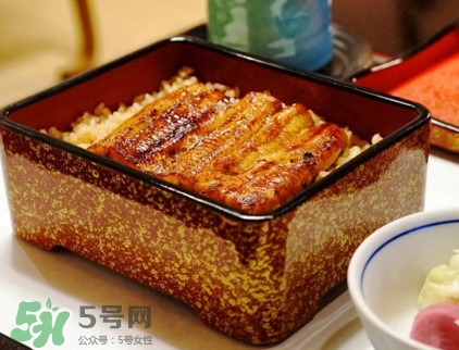 鰻魚飯熱量高嗎？鰻魚飯的熱量有多高