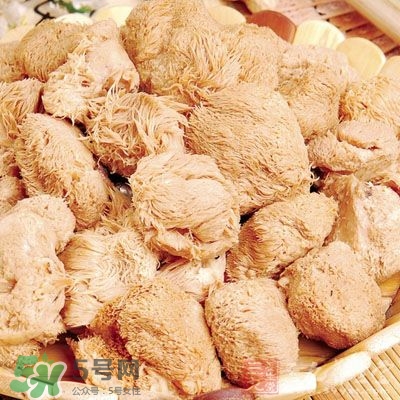 猴頭菇怎樣吃治胃病？猴頭菇能治胃病嗎？