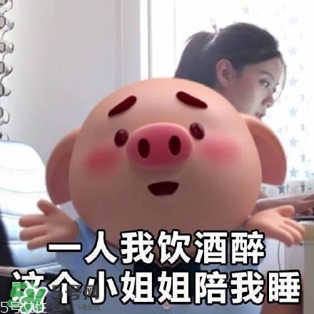 豬小屁多少錢(qián)一個(gè)？豬小屁哪里可以買(mǎi)到