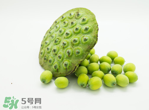 新鮮蓮子可以直接吃嗎？生蓮子可以直接吃嗎？