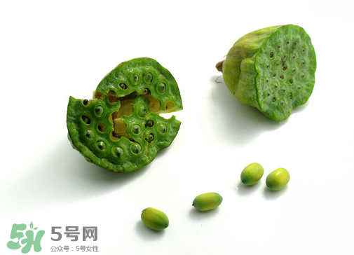 新鮮蓮子可以直接吃嗎？生蓮子可以直接吃嗎？