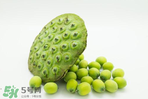 新鮮蓮子可以直接吃嗎？生蓮子可以直接吃嗎？