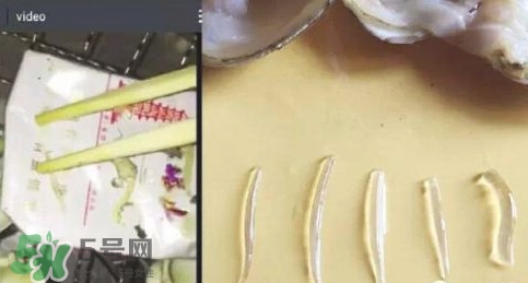 蜆子肉里白色長條東西是什么？蜆子肉里面透明的能吃嗎