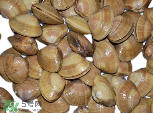 蜆子是花甲嗎？蜆子是海鮮嗎？