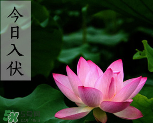2017年頭伏是幾月幾號？2017年入伏第一天是幾月幾號？