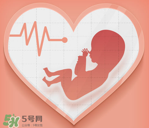 胎心儀可以天天用嗎？胎心儀的使用頻率