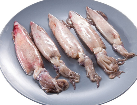 章魚是魷魚嗎？章魚和魷魚有什么區別