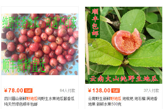 野地瓜哪里可以買到？哪個地方有種植野地瓜的
