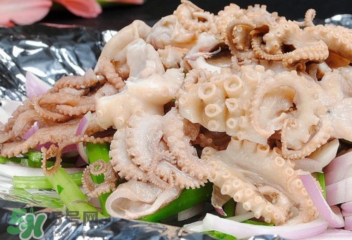 八爪魚是魷魚嗎？八爪魚是章魚嗎