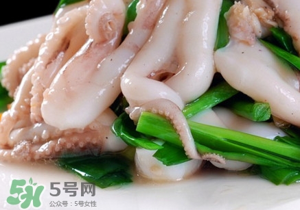 八爪魚是魷魚嗎？八爪魚是章魚嗎