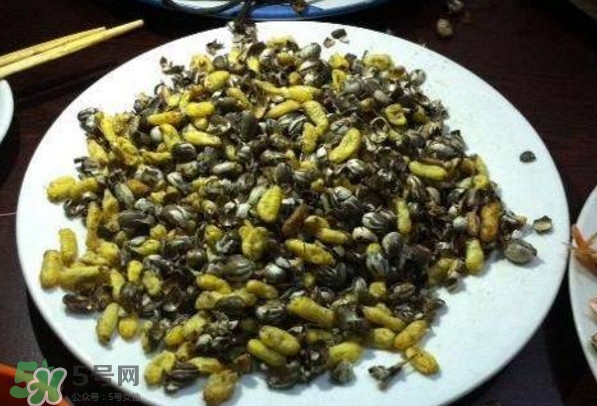 洋辣子是什么？洋辣子能吃嗎？