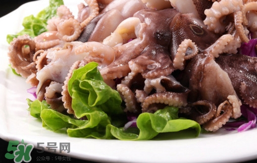 八爪魚是魷魚嗎？八爪魚是章魚嗎