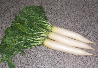 頭伏蘿卜二伏菜是什么意思？頭伏種什么菜？