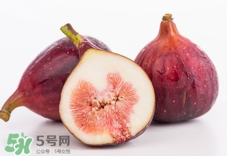 無花果喜陽還是喜陰植物？無花果吃多會怎么樣