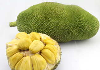 木菠蘿買來怎么吃？木菠蘿吃多了會怎樣？