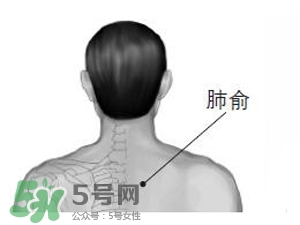 三伏貼能治過敏性鼻炎嗎？三伏貼治過敏性鼻炎貼哪里？