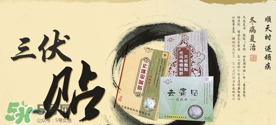 貼三伏貼掛什么科？三伏貼掛什么號？