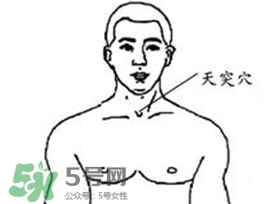 三伏貼能治過敏性鼻炎嗎？三伏貼治過敏性鼻炎貼哪里？
