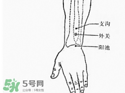 三伏貼能治過敏性鼻炎嗎？三伏貼治過敏性鼻炎貼哪里？
