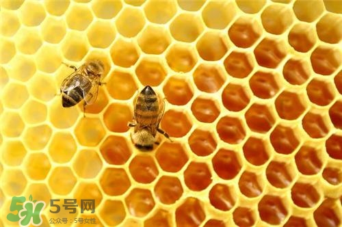 三伏貼能治過敏性鼻炎嗎？三伏貼治過敏性鼻炎貼哪里？