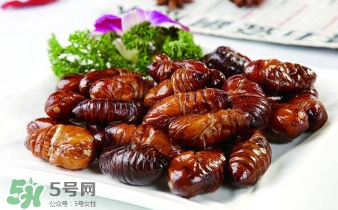 蟬蛹什么人不能吃？蟬蛹不能和什么一起吃