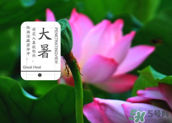 大暑和處暑是什么意思？大暑熱還是處暑熱？