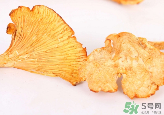 雞油菌多少錢一斤？雞油菌和雞樅菌有什么區別