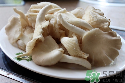 平菇怎么吃最有營養？平菇長白毛還能吃嗎