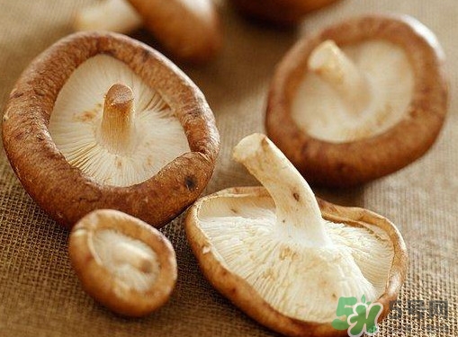 買香菇怎么挑選？干香菇怎么挑選？