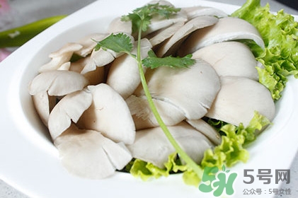 平菇怎么吃最有營養？平菇長白毛還能吃嗎